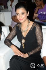 Shruti Hassan at Race Gurram Success Meet